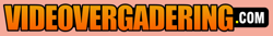 Videovergadering